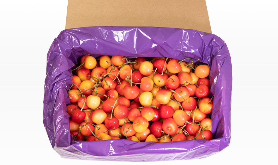 DR102 Gee-Whiz Premium Rainier Cherry EXPORT GRADE 2kg (US DLV)